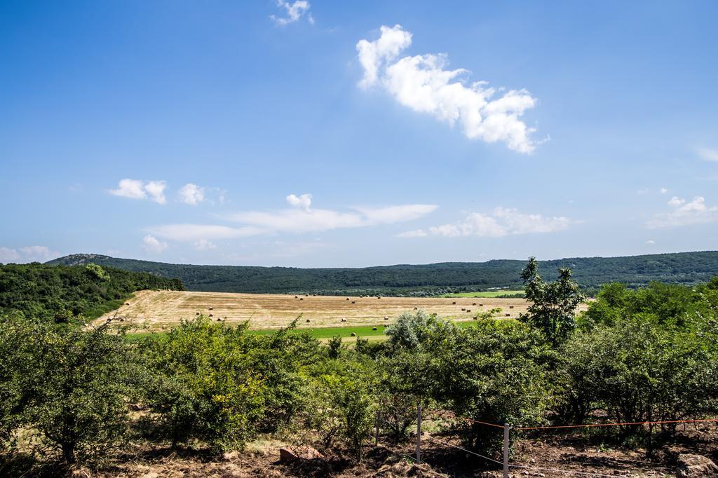 Oeregtoelgy Vendeghaz Βίλα Szár Εξωτερικό φωτογραφία